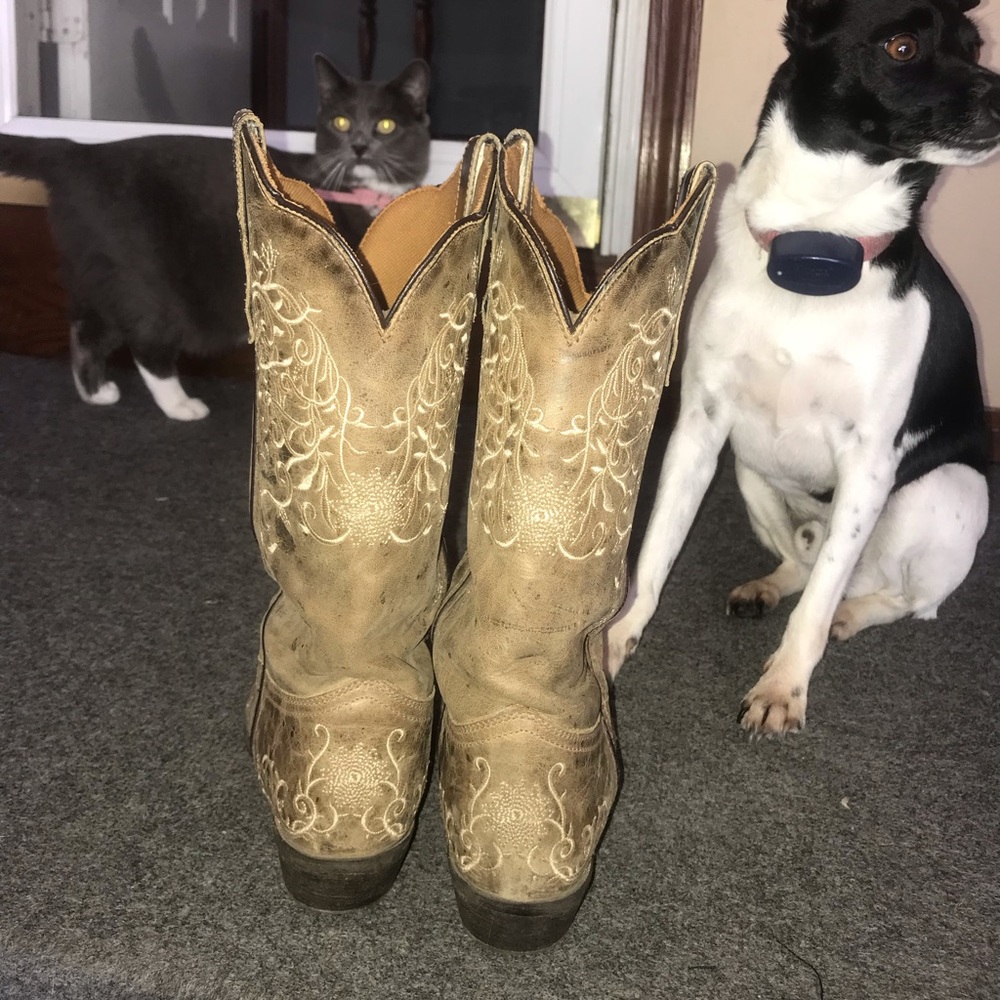 Cowboy boots, leather & very comfy!
